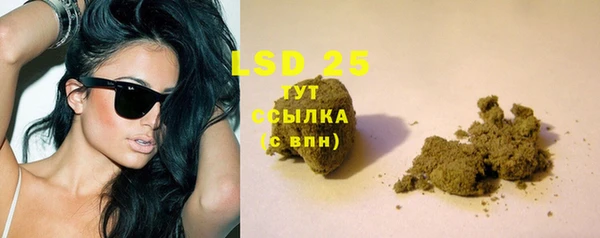 крисы Алзамай