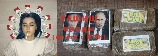 крисы Алзамай