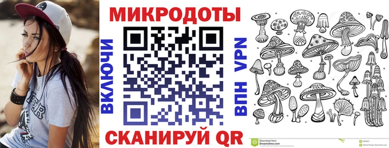 Псилоцибиновые грибы Psilocybe  Болхов 
